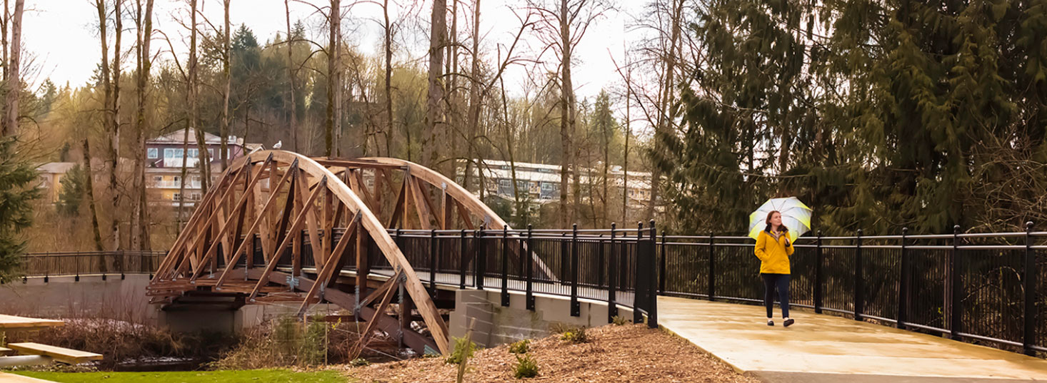 Bridge Over Sammamish River