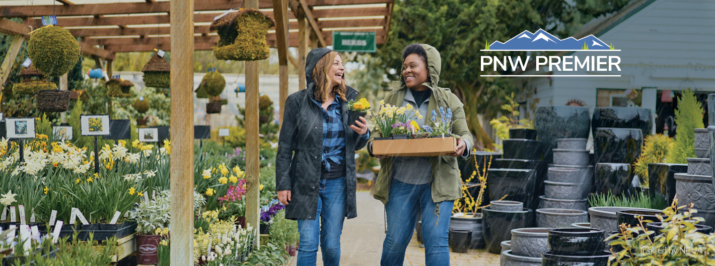 Harborstone Credit Union Near Me Services Offered